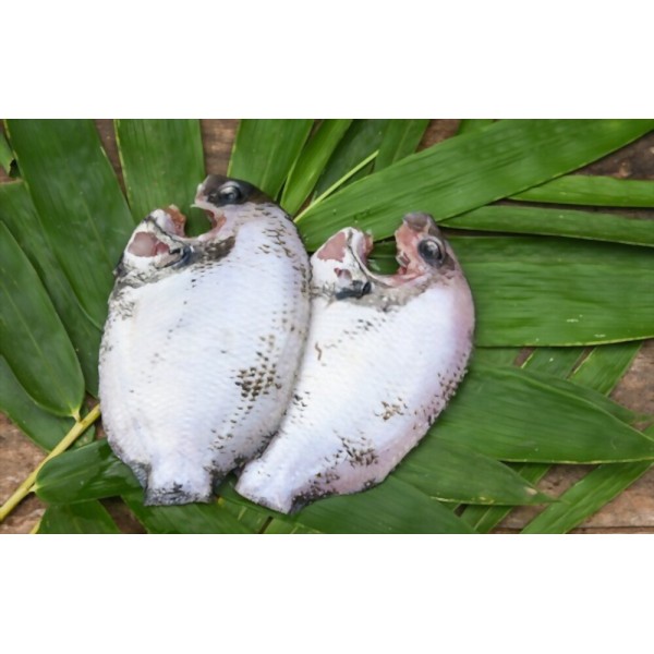 Fresh Pearl Spot/Karimeen Whole Cleaned - Per 500Gm
